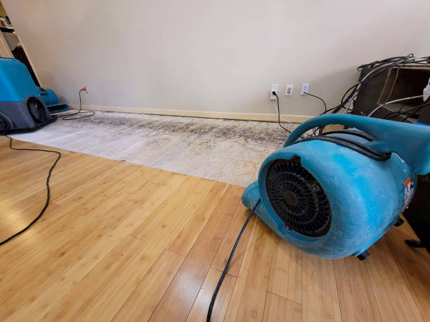 Professional Structural Drying technician working in Hewlett, NY